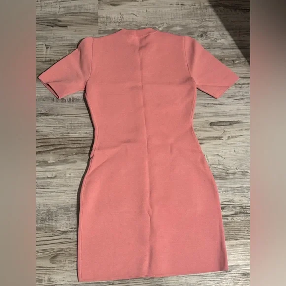 Pink Zara Button-Up Dress - Picture 5 of 5